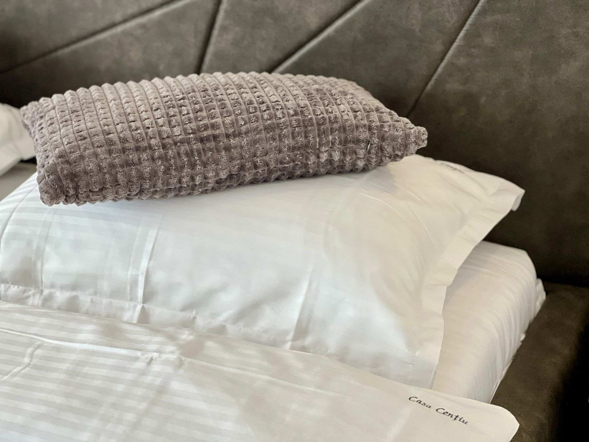 WhatsApp Image 2026-01-29 at 17.10.158