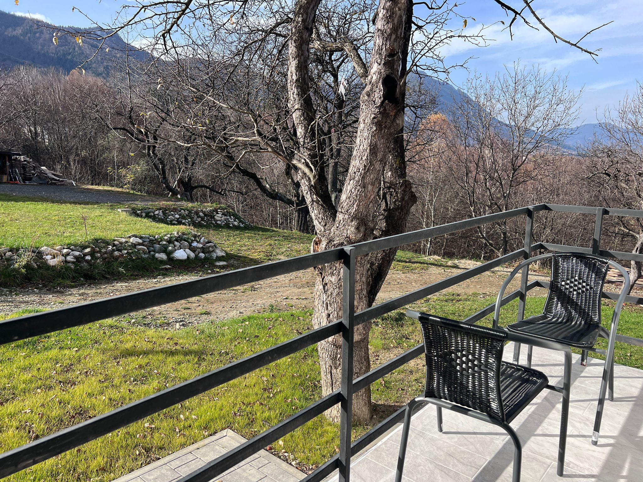 WhatsApp Image 2026-01-29 at 17.10.59